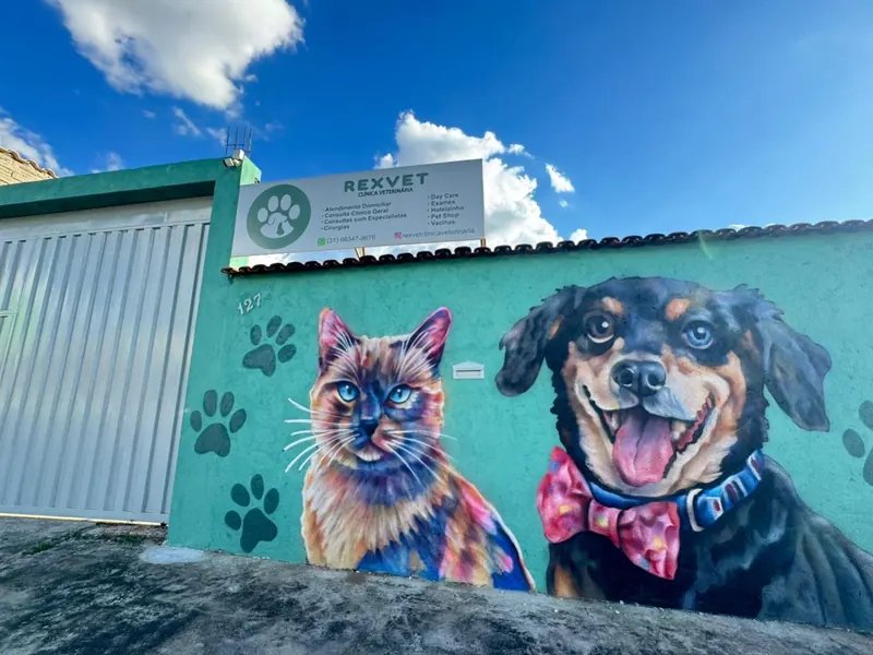 Fachada da RexVet: muro verde com grafite de um gato e de um cachorro e a placa da clínica