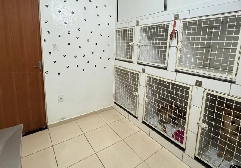 Internação com baias individuais de grade