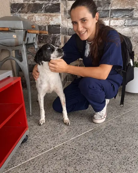 Veterinária de pijama azul agachada com um cachorro preto e branco