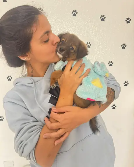 Veterinária dando um beijo em um filhote de pelo marrom vestido com roupinha