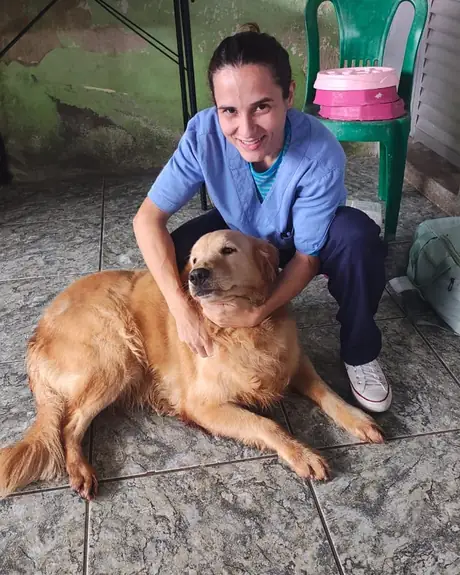 Veterinária agachada ao lado de um golden retriever deitado no chão de casa