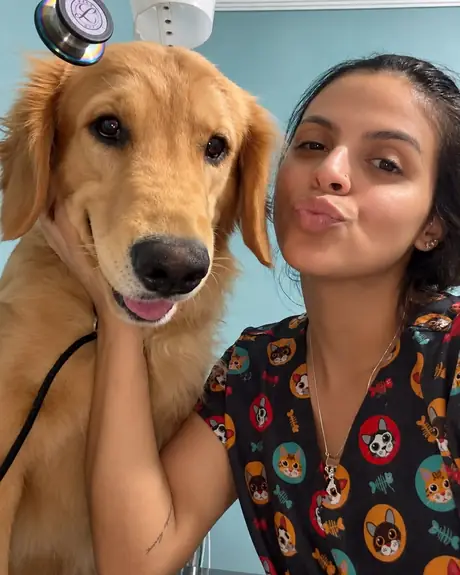 Golden retriever sorrindo ao lado da veterinária no consultório