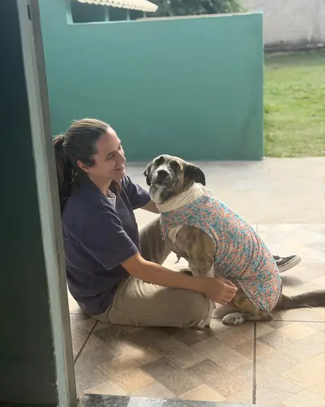 Veterinária agachada fazendo carinho em um cachorro com roupa pós-cirúrgica