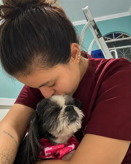 Veterinária abraçando um shih-tzu preto e branco com laço rosa