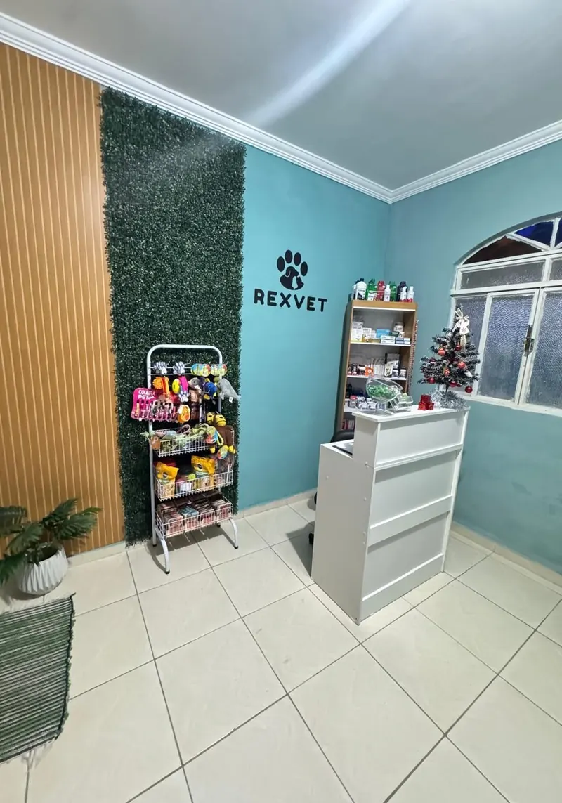 Recepção da RexVet com balcão branco, logo da clínica na parede e expositor de pet shop
